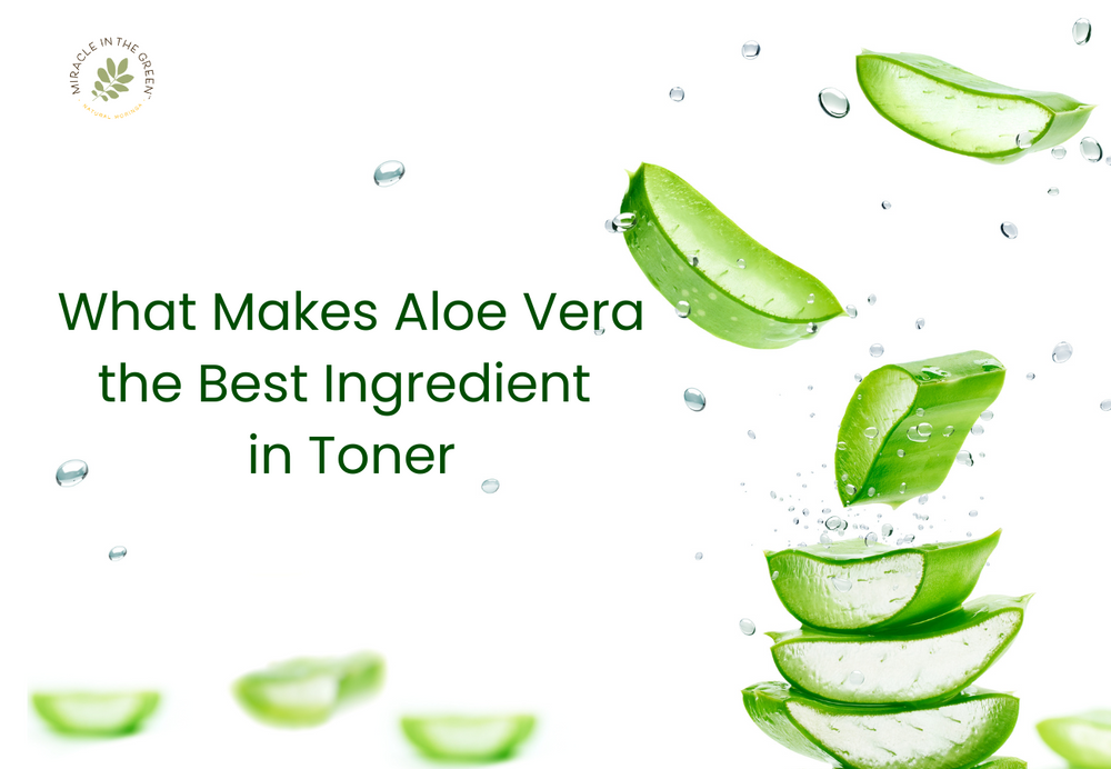 What Makes Aloe Vera the Best Ingredient  in Toner
