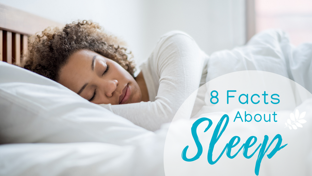 8 Facts About Sleep
