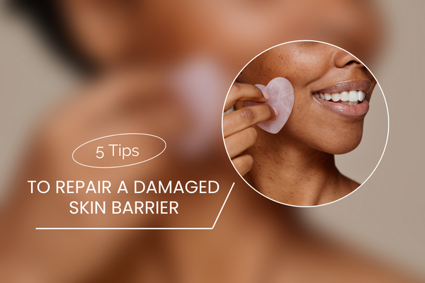 5 Tips to Repair A Damaged Skin Barrier