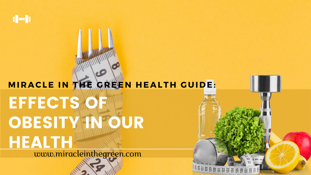 Miracle In The Green Health Guide: Effects of Obesity In Our Health